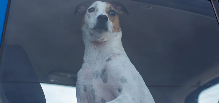 Car Lockout Solutions in Laguna Hills, California